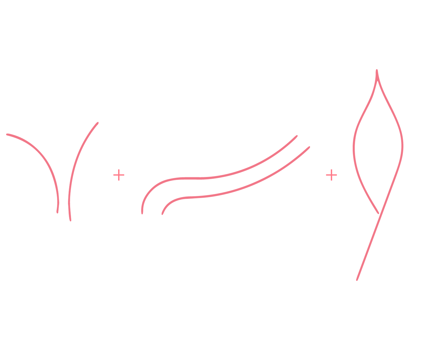 Pink curved lines representing Luz Candles basis for new logo