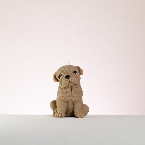 Scented bulldog candle on a white background