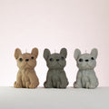 Three French bulldog-shaped candles in different colours on a white background