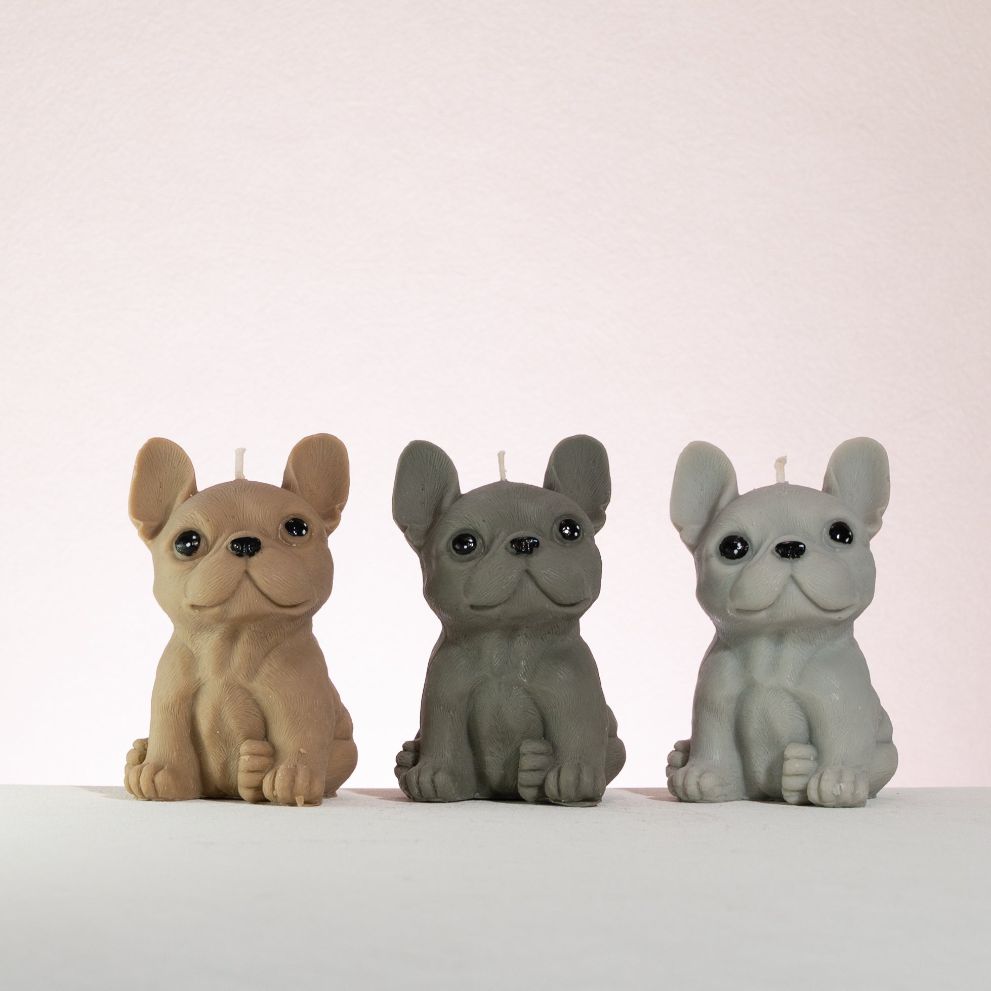 Three French bulldog-shaped candles in different colours on a white background