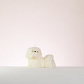 Shih tzu Dog candle shaped on a white background