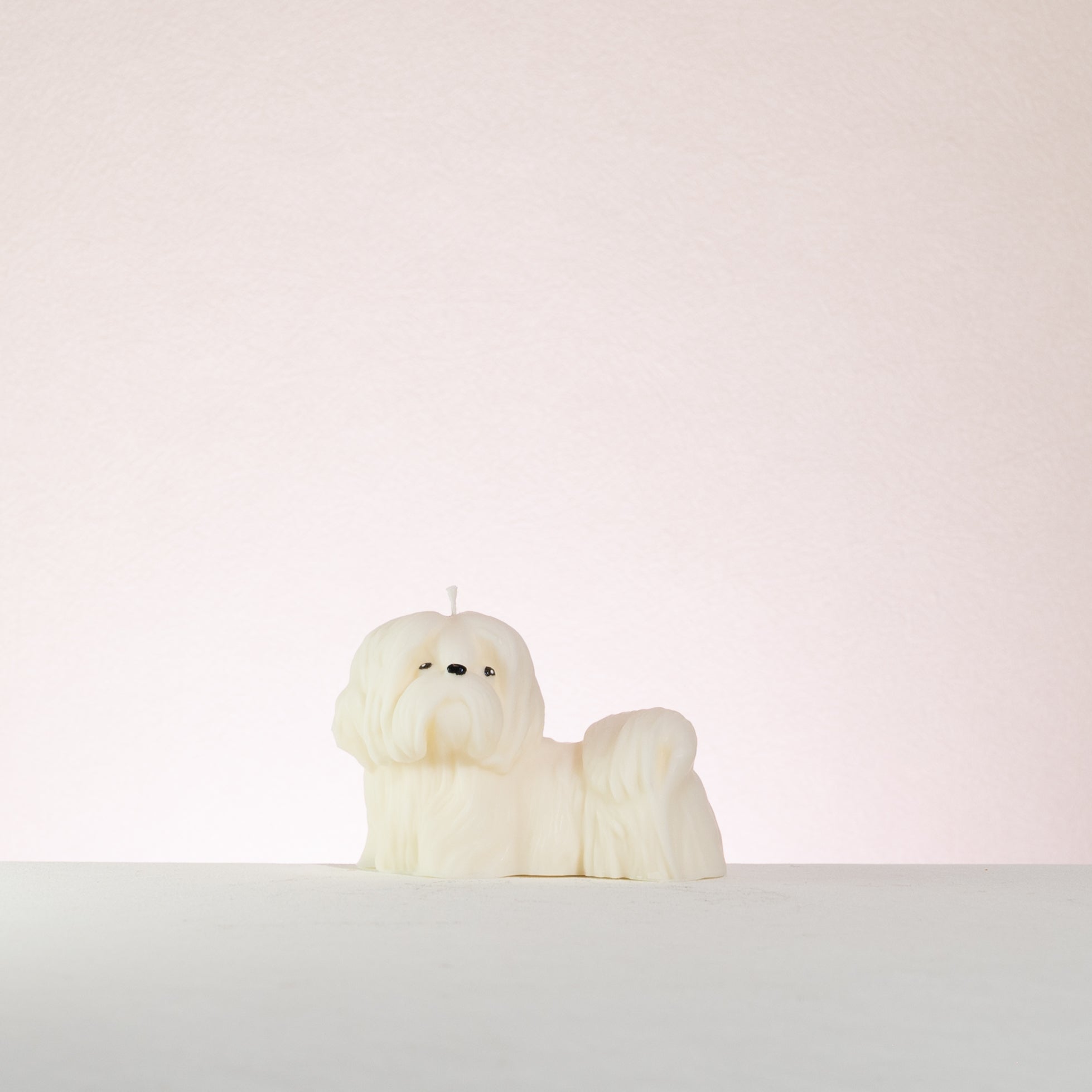 Shih tzu Dog candle shaped on a white background