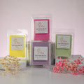 Luz Candles Au - Four square soy wax melts in clear plastic clamshell packaging arranged on white blocks, with decorative dried and pink flowers in the foreground. The wax colors visible are yellow, pink, lavender, and light green, each with a white label reading 'SOY WAX MELTS' and a small logo.